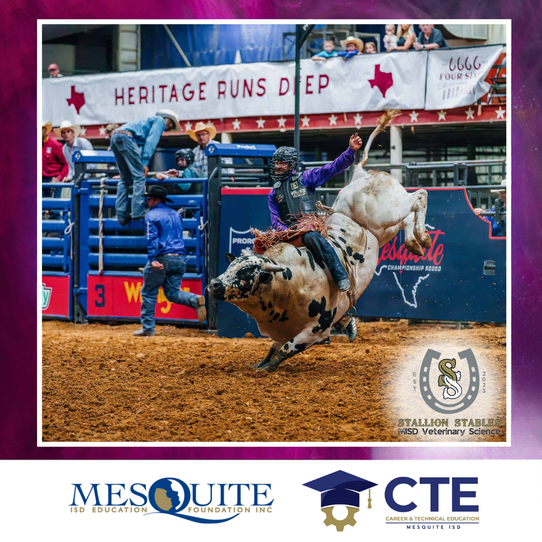 VIP suite for 10 guests at Mesquite Championship Rodeo - Mesquite ISD ...
